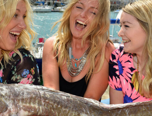 Dorset Seafood Festival 2026