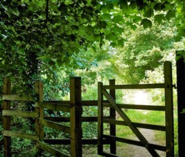 Drive just a few minutes inland for some great country walks