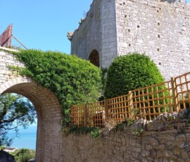 Rufus Castle